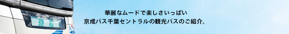 華麗なムードで楽しさいっぱい 京成バスシステムの観光バスのご紹介。